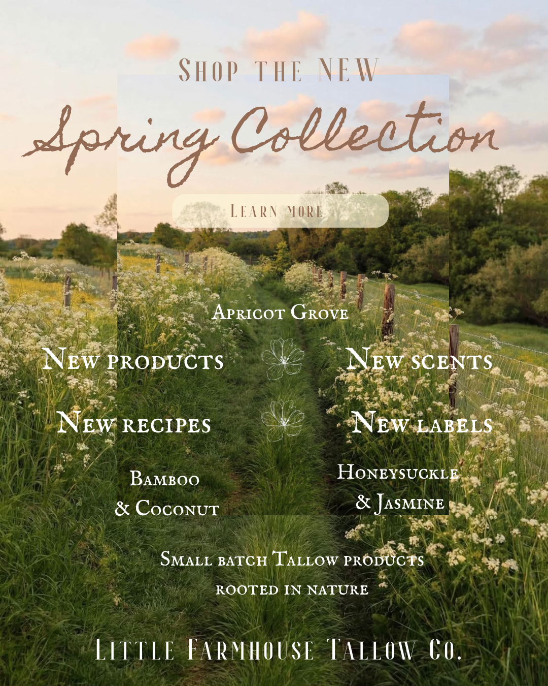 Spring collection